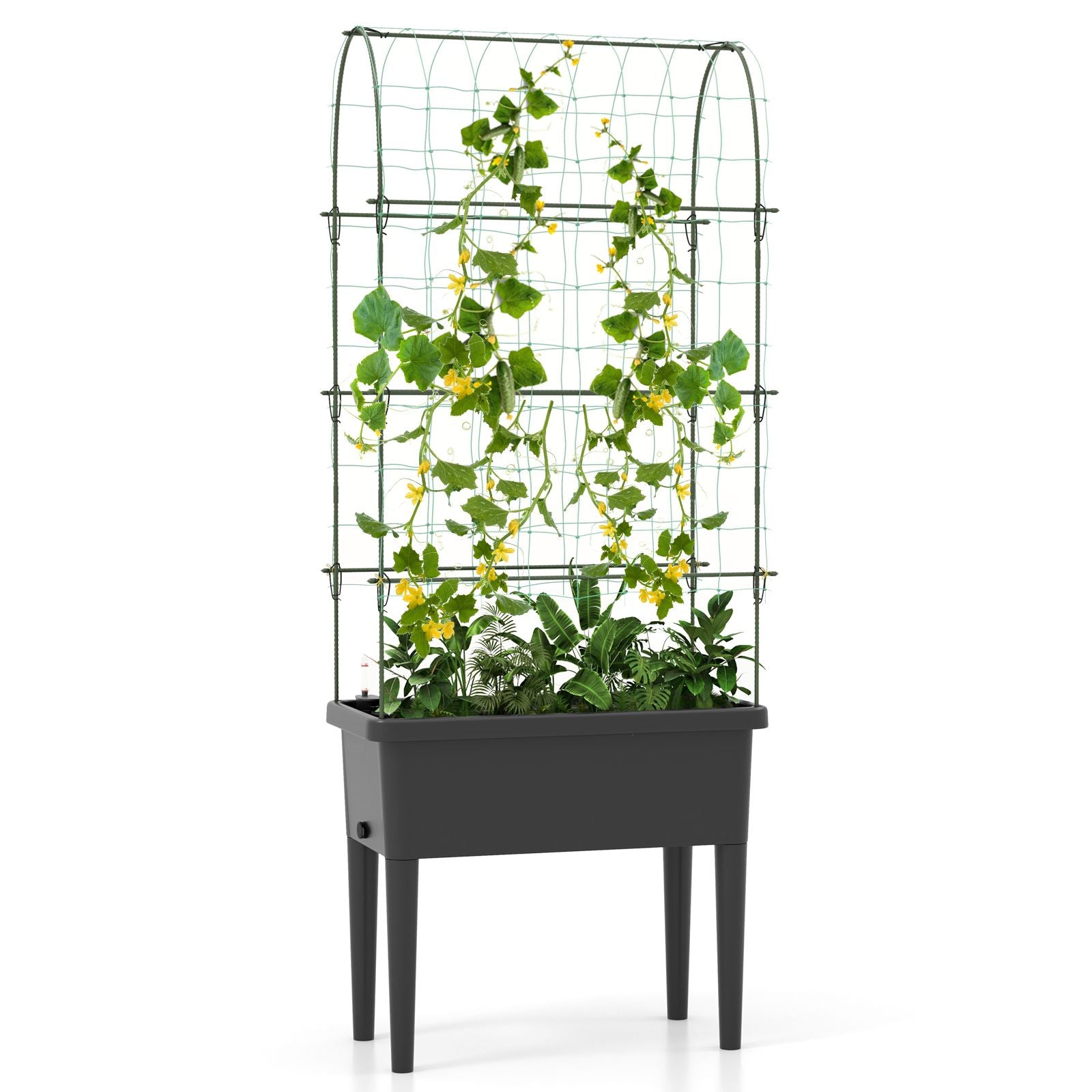 Self-Watering Raised Garden Bed with Climbing Trellis
