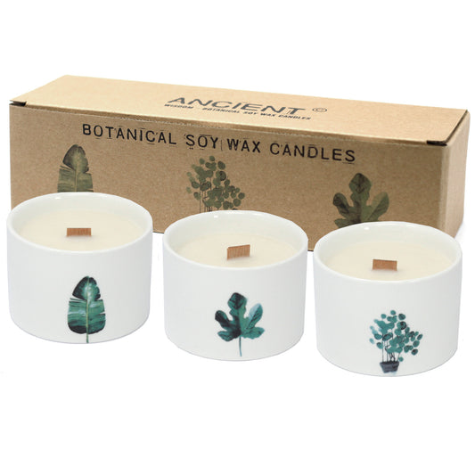 Botanical Candles - Lemon Honeysuckle