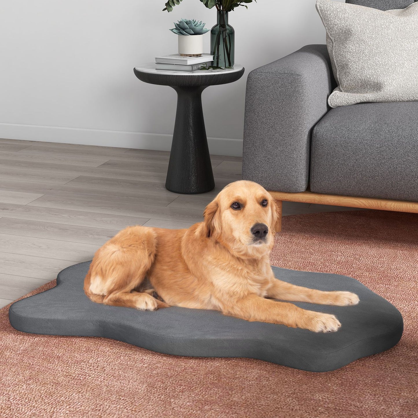 Premium Memory Foam Large Dog Bed with Removable Cover