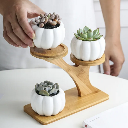 Charming Ceramic Owl Garden Pots Set with 3-Tier Bamboo Shelf - Perfect for Succulents and Bonsai Plants