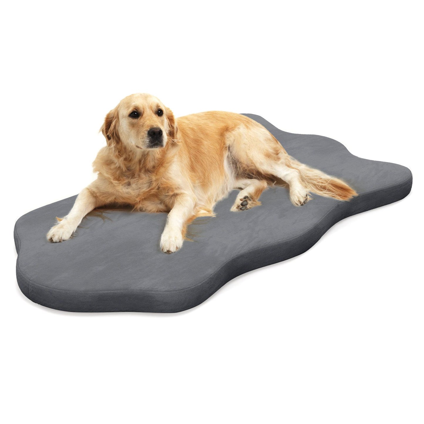 Premium Memory Foam Large Dog Bed with Removable Cover