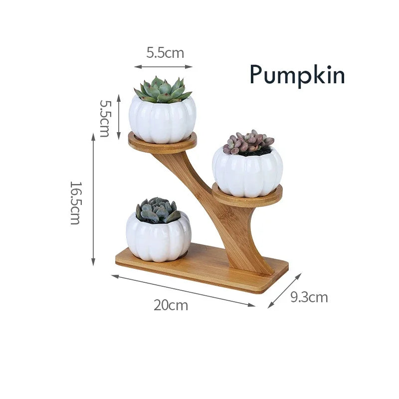 Charming Ceramic Owl Garden Pots Set with 3-Tier Bamboo Shelf - Perfect for Succulents and Bonsai Plants