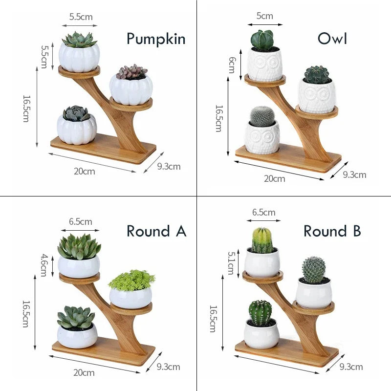 Charming Ceramic Owl Garden Pots Set with 3-Tier Bamboo Shelf - Perfect for Succulents and Bonsai Plants
