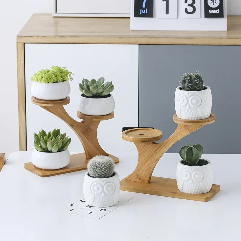 Charming Ceramic Owl Garden Pots Set with 3-Tier Bamboo Shelf - Perfect for Succulents and Bonsai Plants