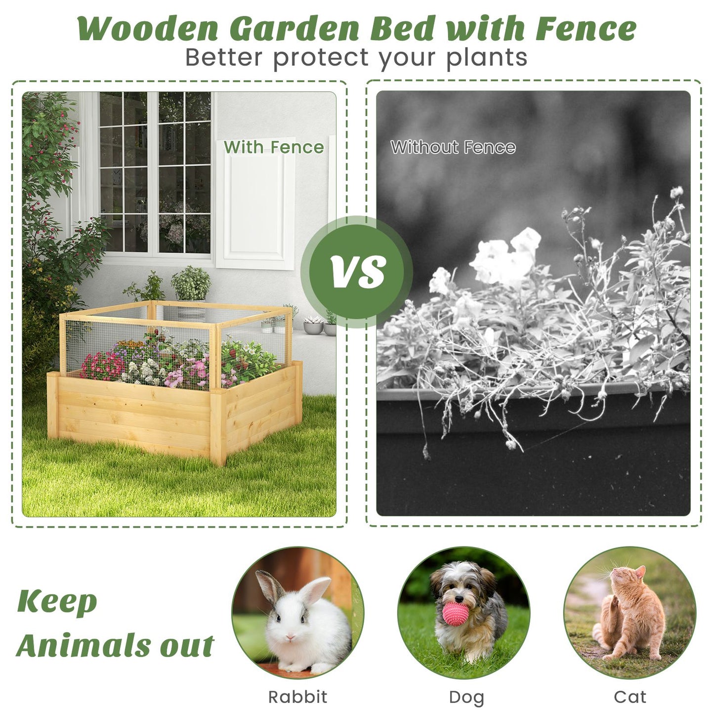 Elevated Garden Bed with Animal Protection Fence and Planting Grid
