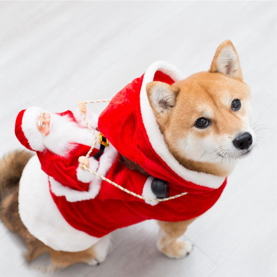 Adorable Costume for Dogs - Perfect for Christmas Festivities!