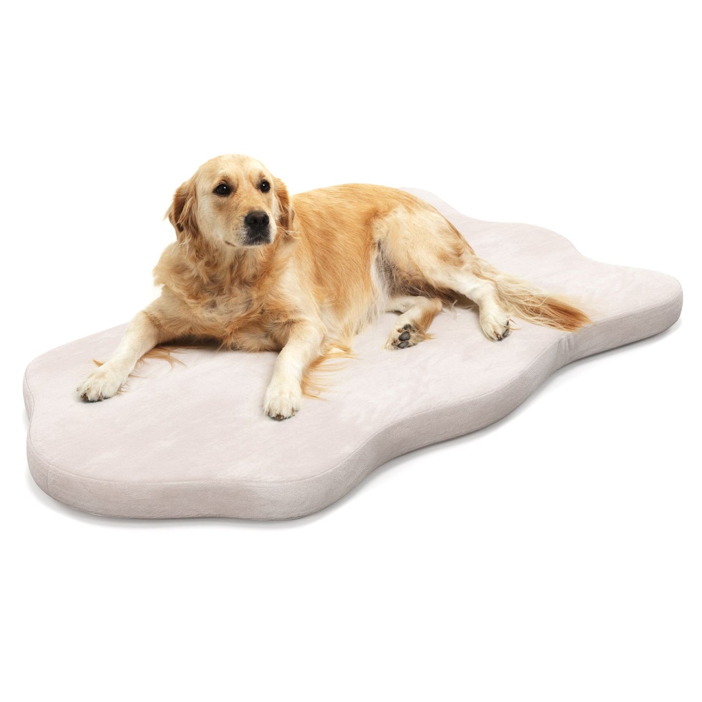 Premium Memory Foam Large Dog Bed with Removable Cover