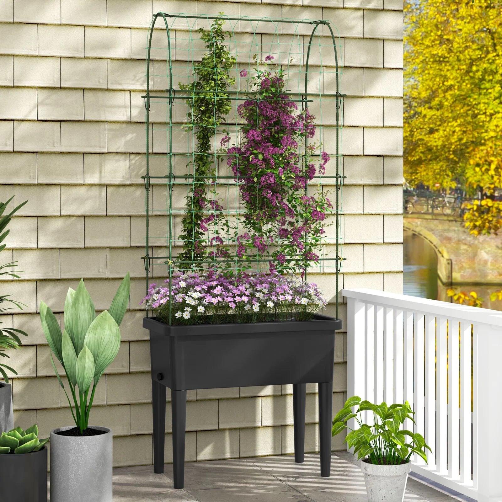 Self-Watering Raised Garden Bed with Climbing Trellis