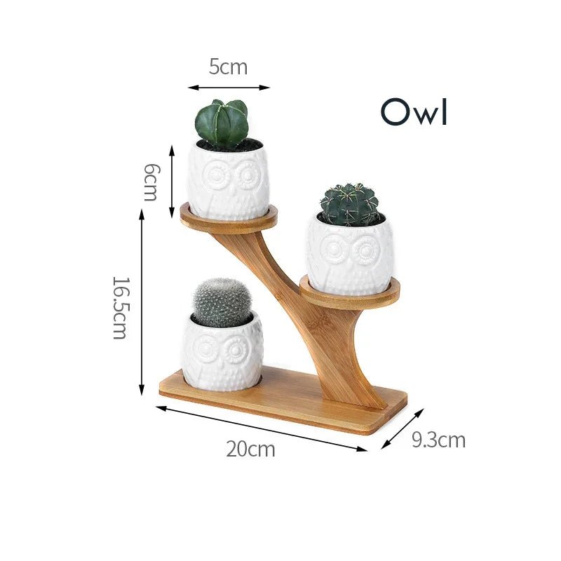 Charming Ceramic Owl Garden Pots Set with 3-Tier Bamboo Shelf - Perfect for Succulents and Bonsai Plants