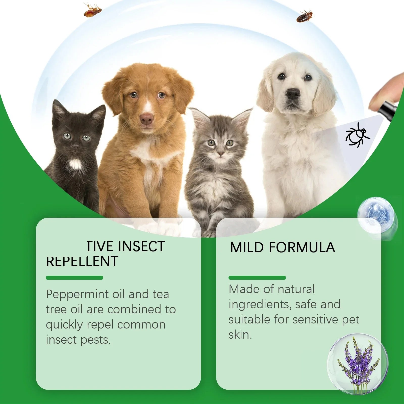 Pet Insect Repellent Spray - Daily Cleaning