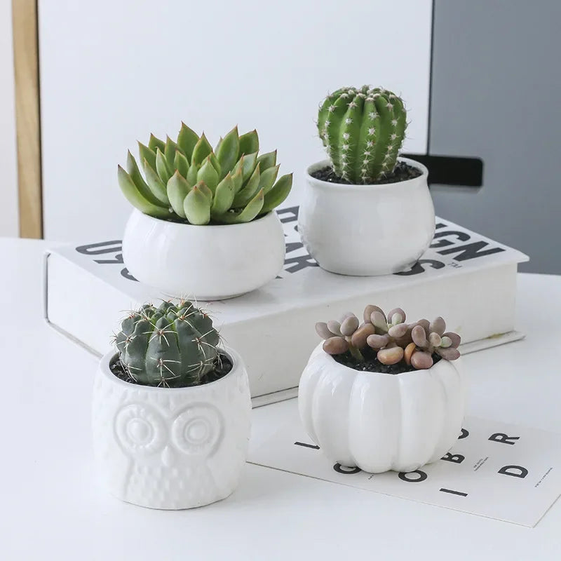 Charming Ceramic Owl Garden Pots Set with 3-Tier Bamboo Shelf - Perfect for Succulents and Bonsai Plants