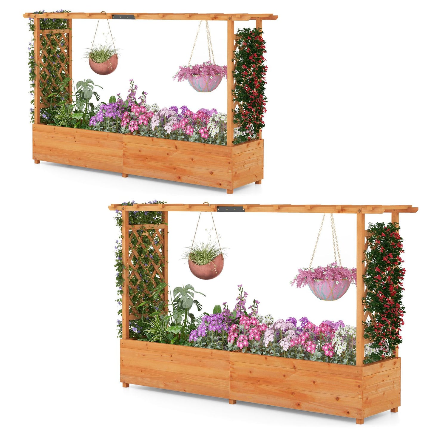 Elevated Garden Bed with Dual Trellis System and Canopy Roof