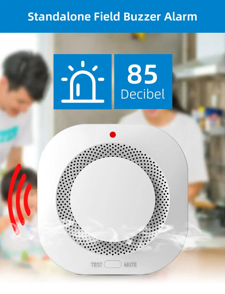 Independent Smoke Detector Sensor For Home