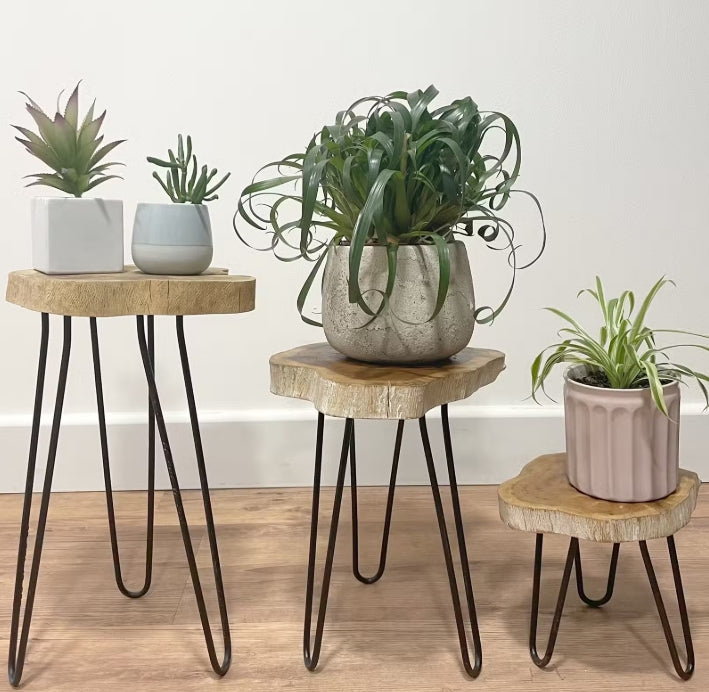 Set of 3 Gamal Wood Plant Stands - Whitewash only