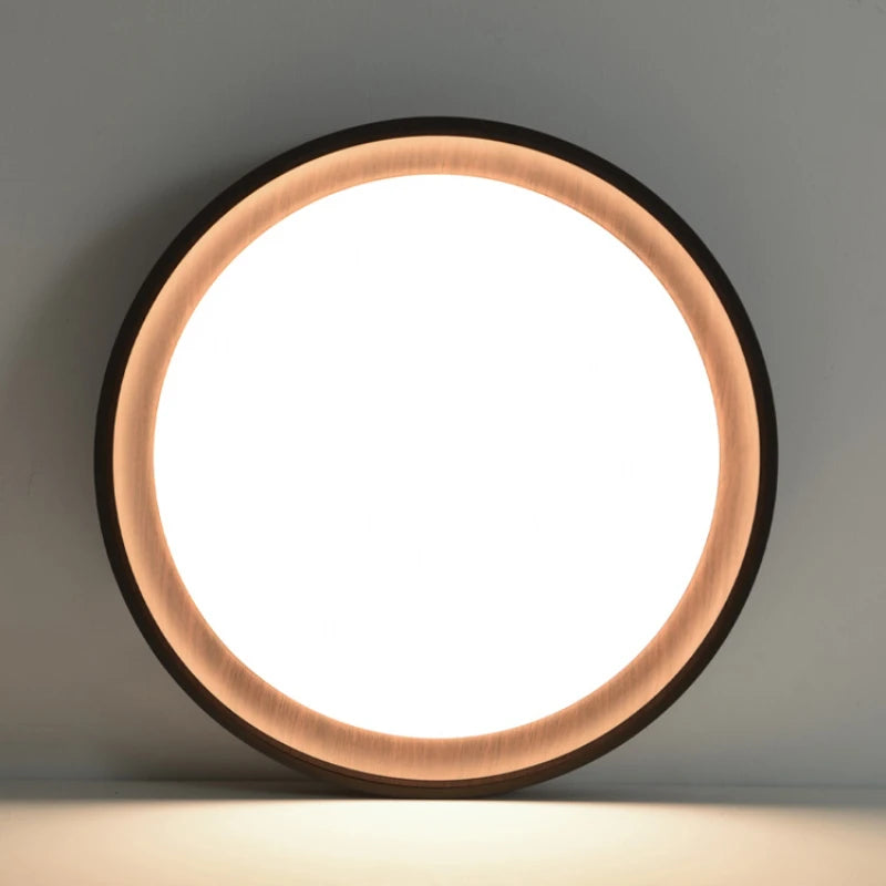 Ceiling Light - Minimalist Walnut Grain Light