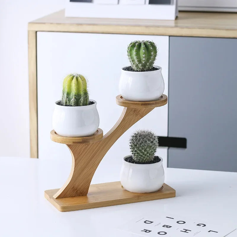 Charming Ceramic Owl Garden Pots Set with 3-Tier Bamboo Shelf - Perfect for Succulents and Bonsai Plants