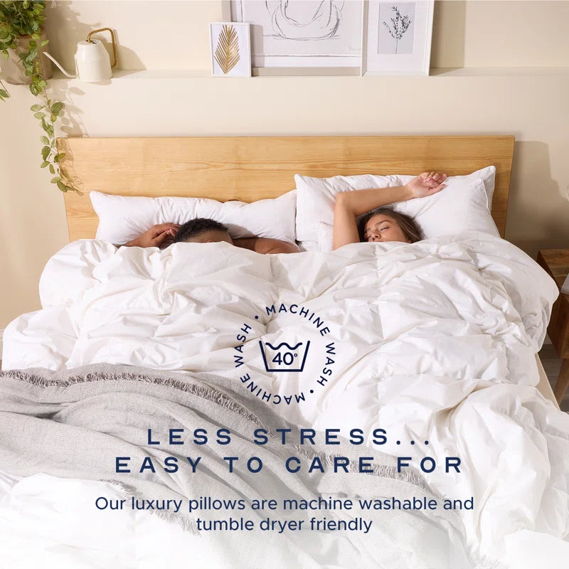 Scandinavian Duck Feather & down Pillow Medium Support Back Sleeper Pillow (Set of 2)