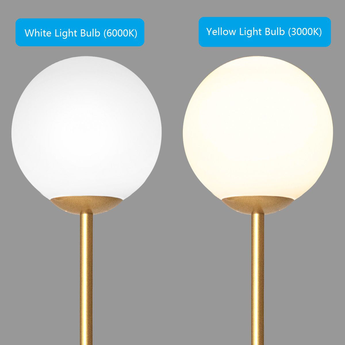 Acrylic-Shaded Globe Floor Lamp with Protective Cover