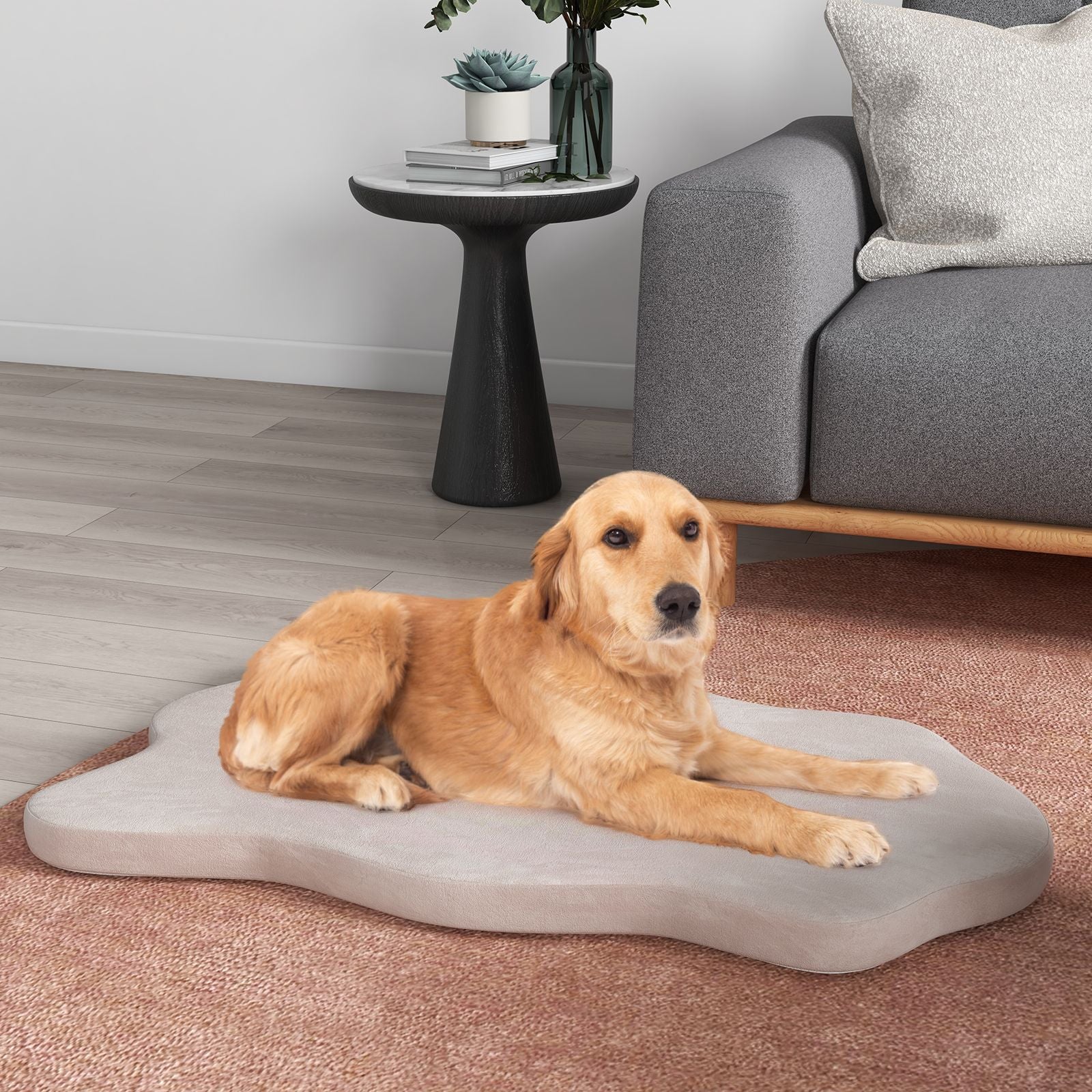 Premium Memory Foam Large Dog Bed with Removable Cover