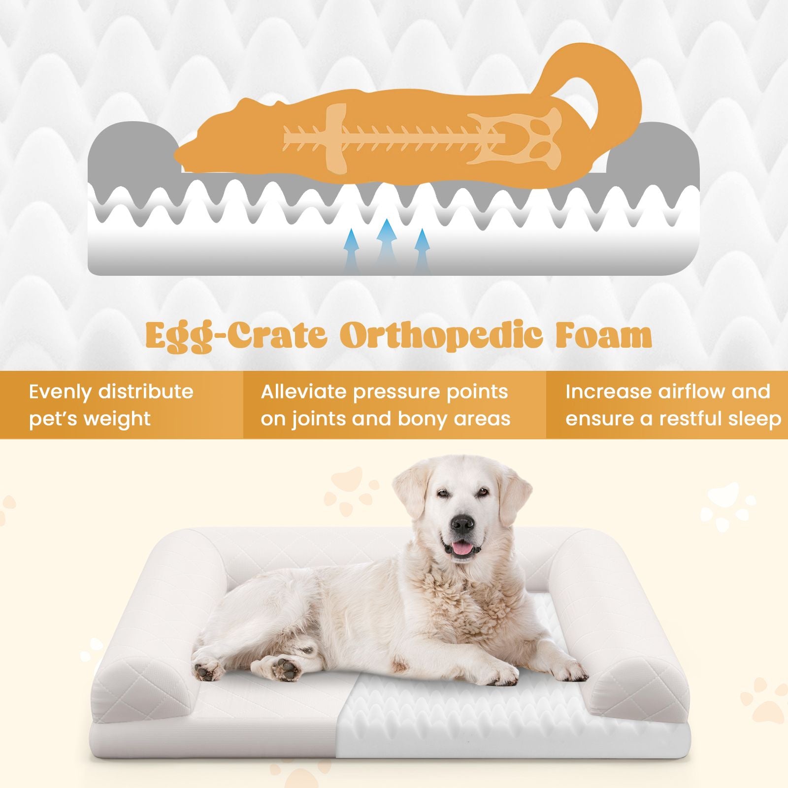 Orthopedic Egg-Foam Dog Crate Bed with Three-Sided Bolster Support
