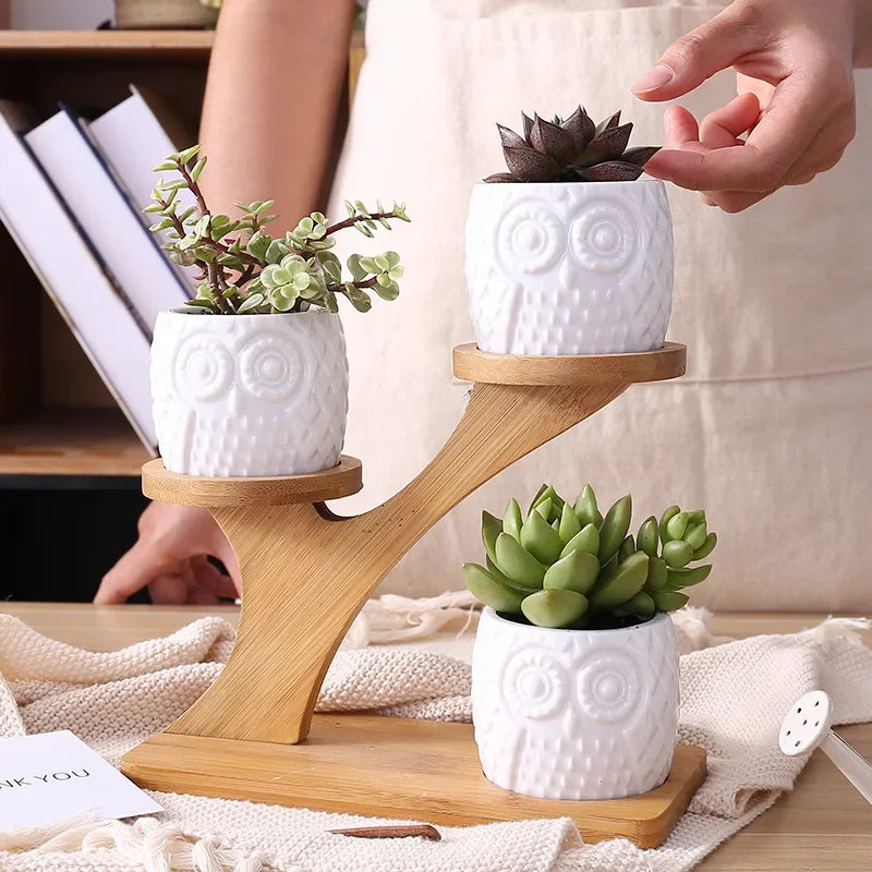 Charming Ceramic Owl Garden Pots Set with 3-Tier Bamboo Shelf - Perfect for Succulents and Bonsai Plants