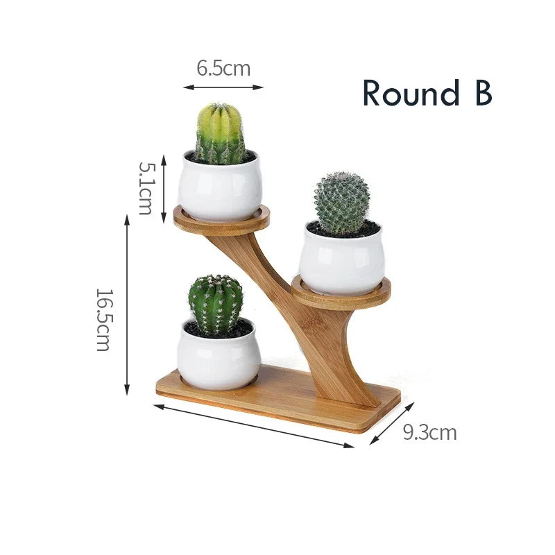 Charming Ceramic Owl Garden Pots Set with 3-Tier Bamboo Shelf - Perfect for Succulents and Bonsai Plants