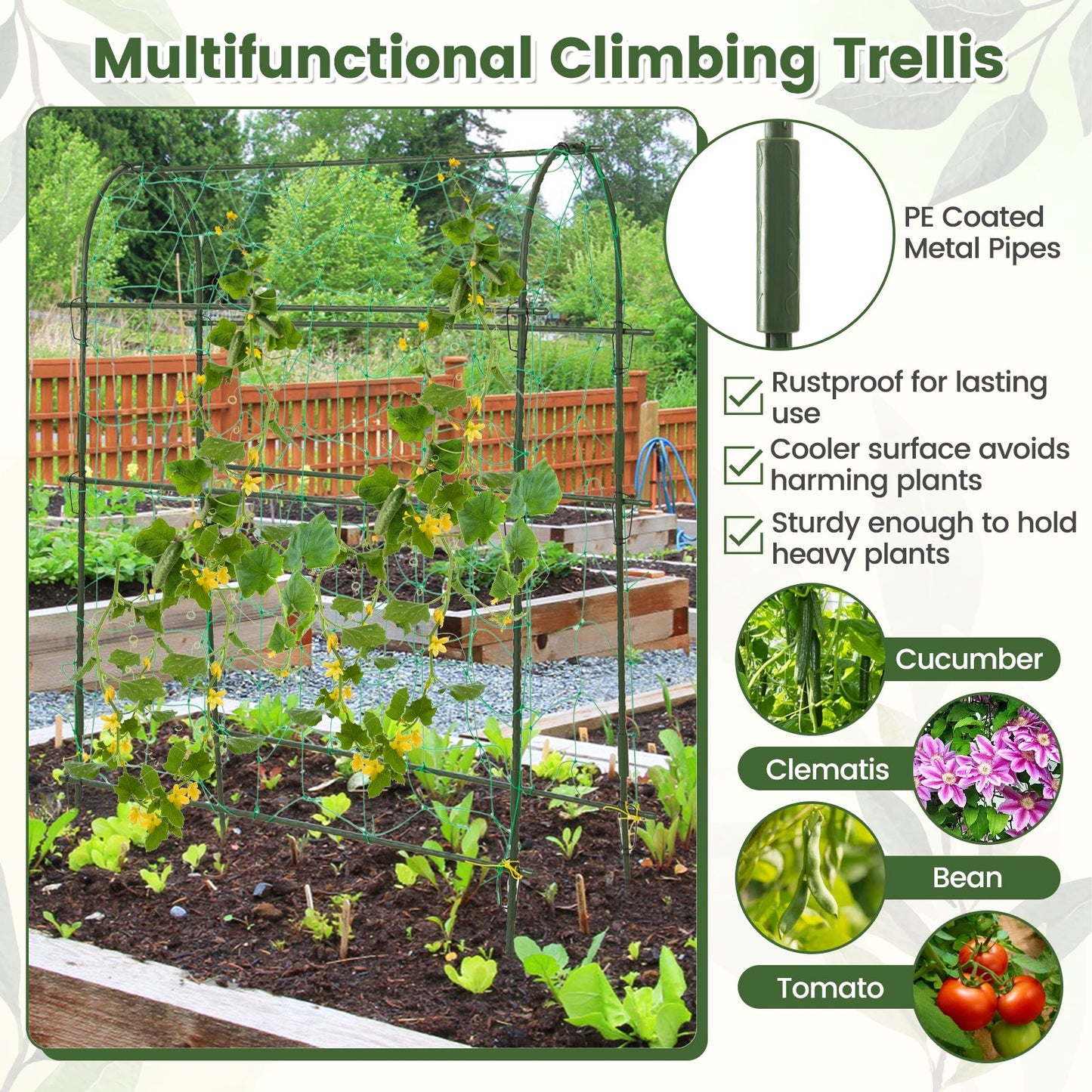 Self-Watering Raised Garden Bed with Climbing Trellis