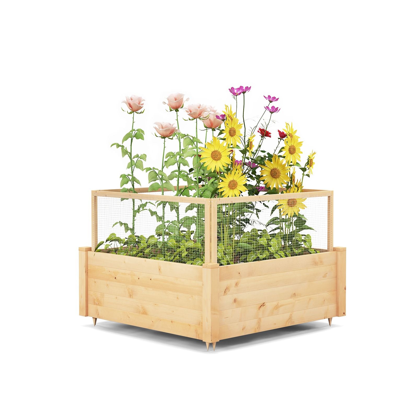 Elevated Garden Bed with Animal Protection Fence and Planting Grid